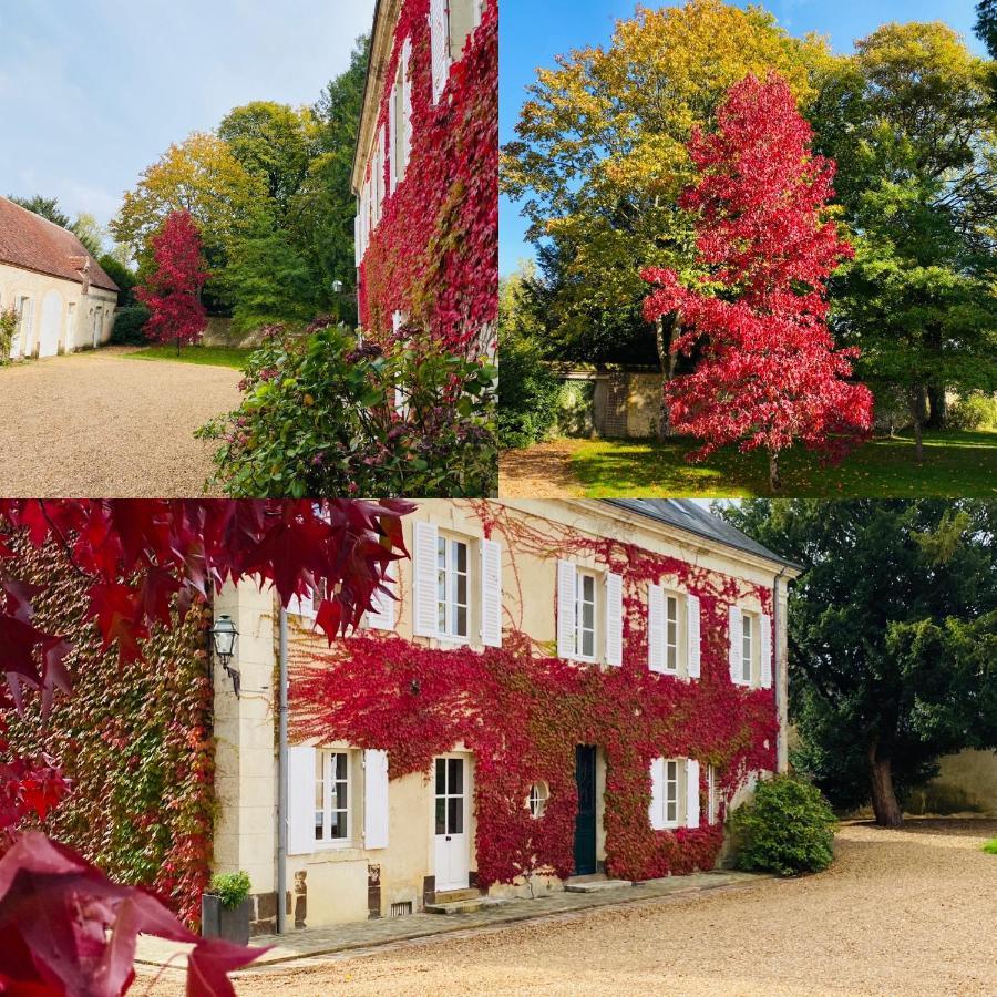 Les Couleurs Du Verger Beaumont-les-Autels Exterior foto