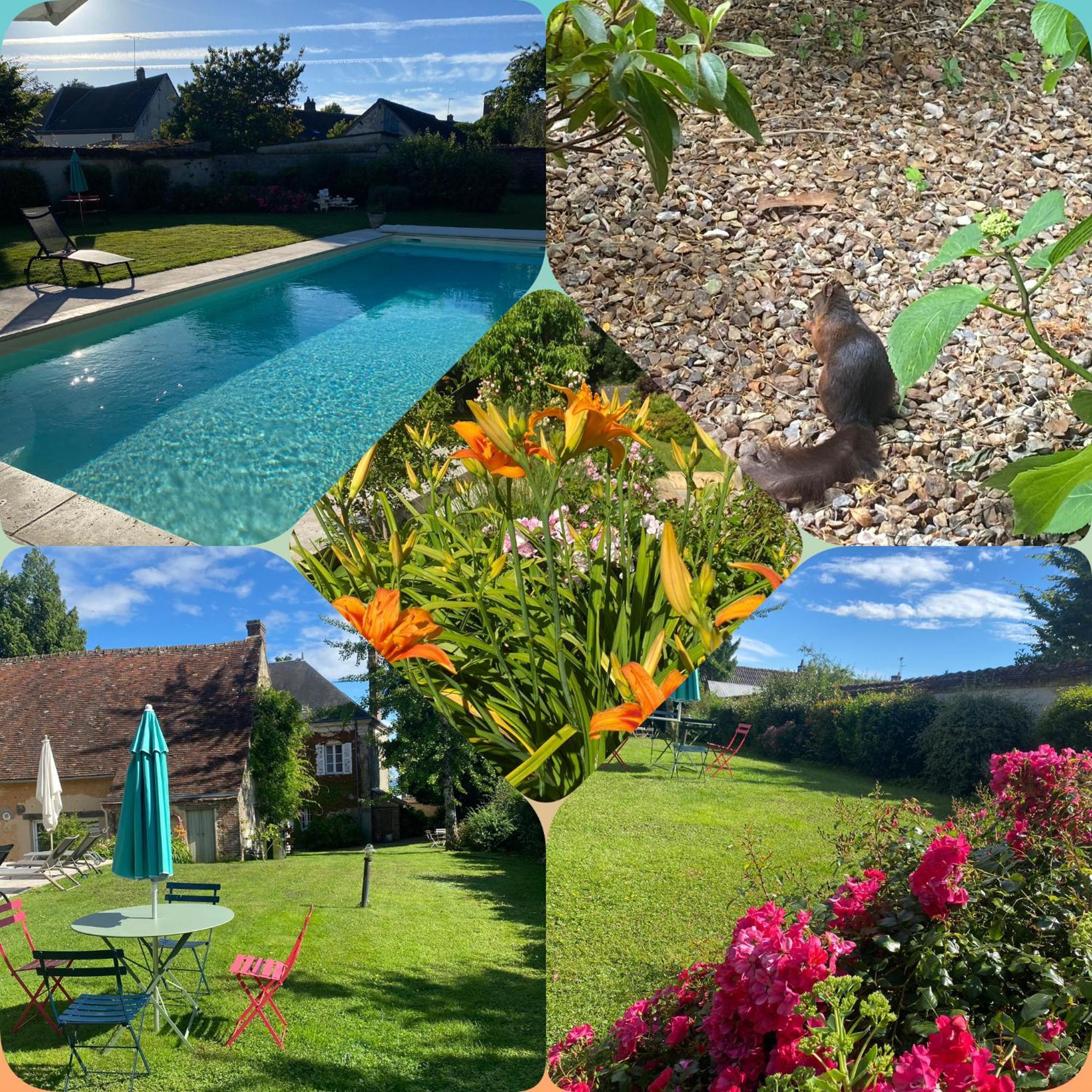 Les Couleurs Du Verger Beaumont-les-Autels Exterior foto