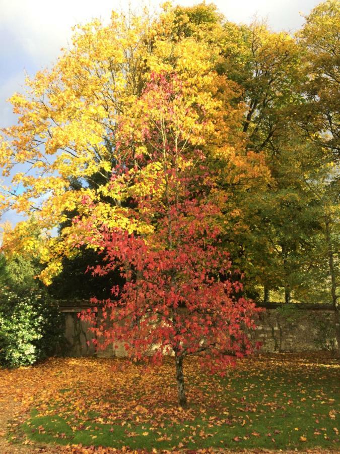 Les Couleurs Du Verger Beaumont-les-Autels Exterior foto